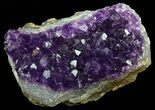 Deep Purple Amethyst Cluster - Uruguay #58153-1